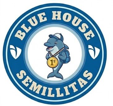 Blue House logo whatsapp dolphins semillitas