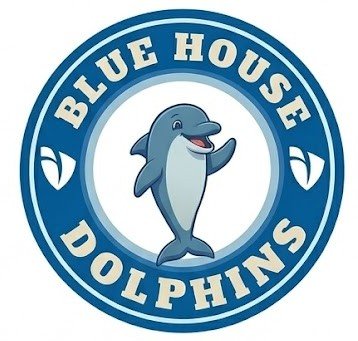 Blue House logo whatsapp dolphins grupo general